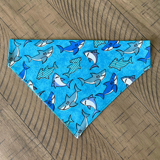 Shark Bandana